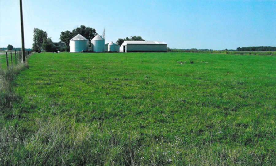 299.26+/- Acres Offered in 2 Tract Land Auction